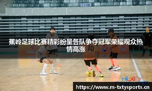 蕉岭足球比赛精彩纷呈各队争夺冠军荣耀观众热情高涨